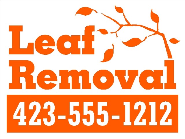 640_Leaf_Removal